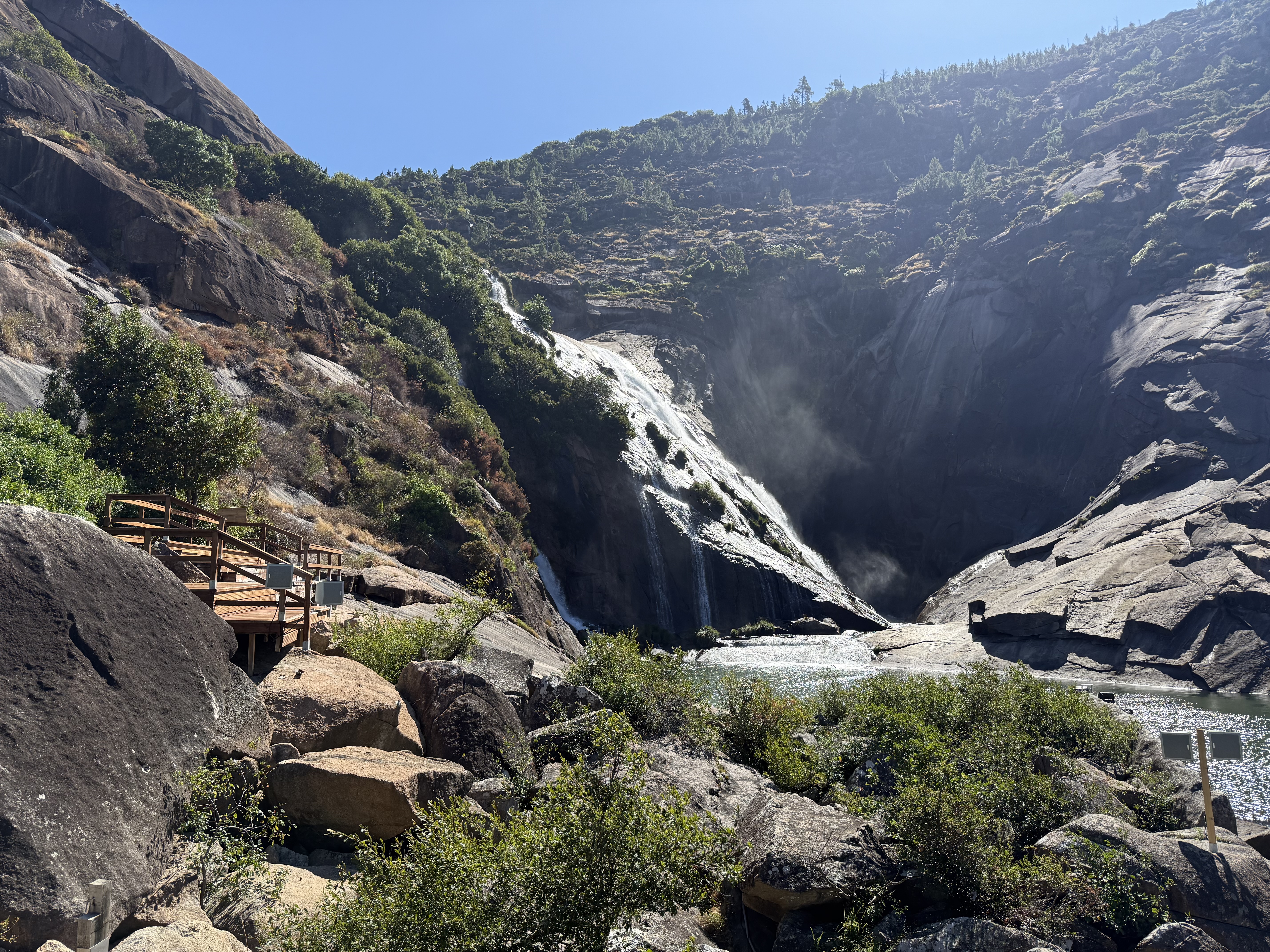 Portfolio Background